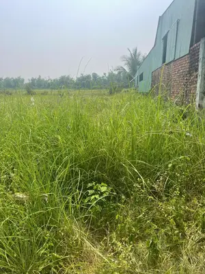 Bán đất Điện Phương, Điện Bàn – 210 m², 1,1 tỷ – ảnh 2