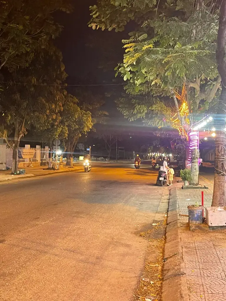 Bán đất Hồ Tùng Mậu, Liên Chiểu – 100 m², 8,9 tỷ – ảnh 3