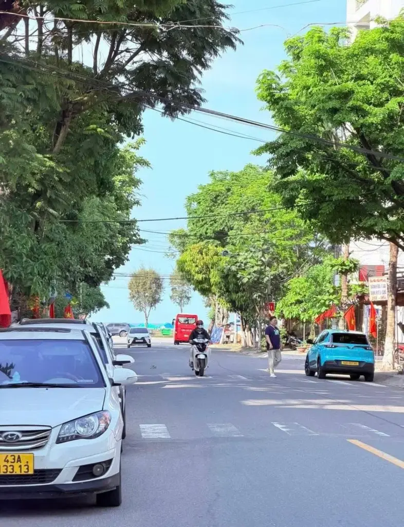 Bán đất Hồ Tùng Mậu, Liên Chiểu – 100 m², 8,9 tỷ – ảnh 5