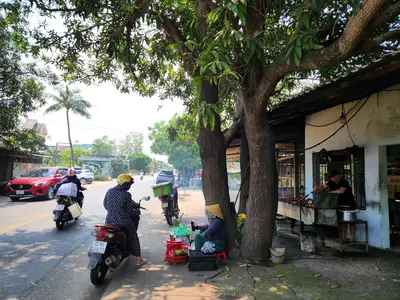 Bán đất mặt tiền Phạm Như Xương, Quảng Nam (khu khác) – 880 m², 12,7 tỷ – ảnh 5