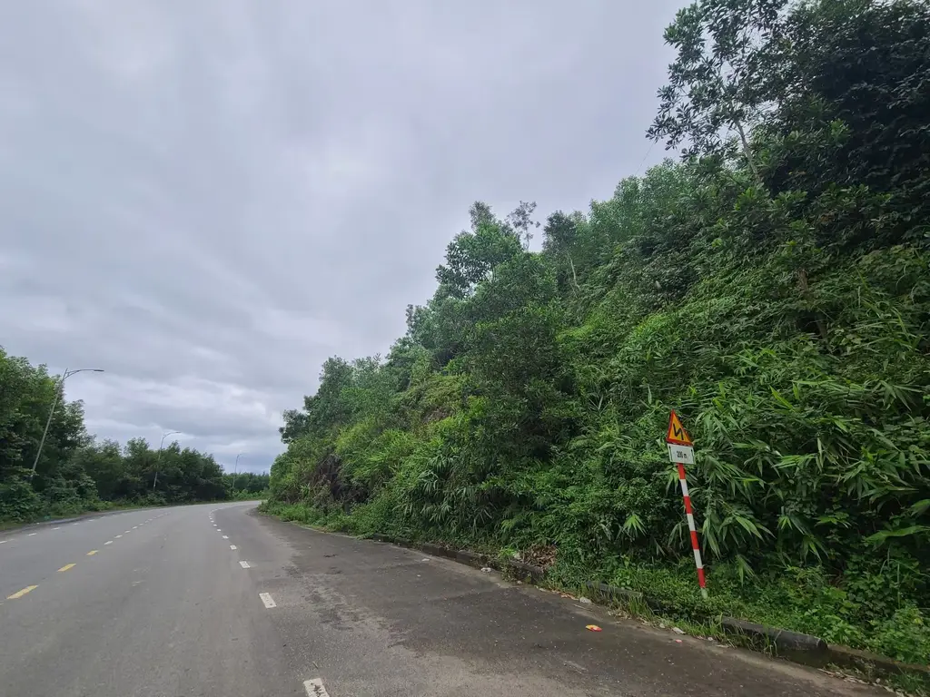 Bán đất mặt tiền Thôn Đông Sơn Xã Hòa Ninh, Hòa Vang – 5.460 m², 4,5 tỷ – ảnh 5