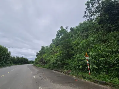 Bán đất mặt tiền Thôn Đông Sơn Xã Hòa Ninh, Hòa Vang – 5.460 m², 4,5 tỷ – ảnh 5