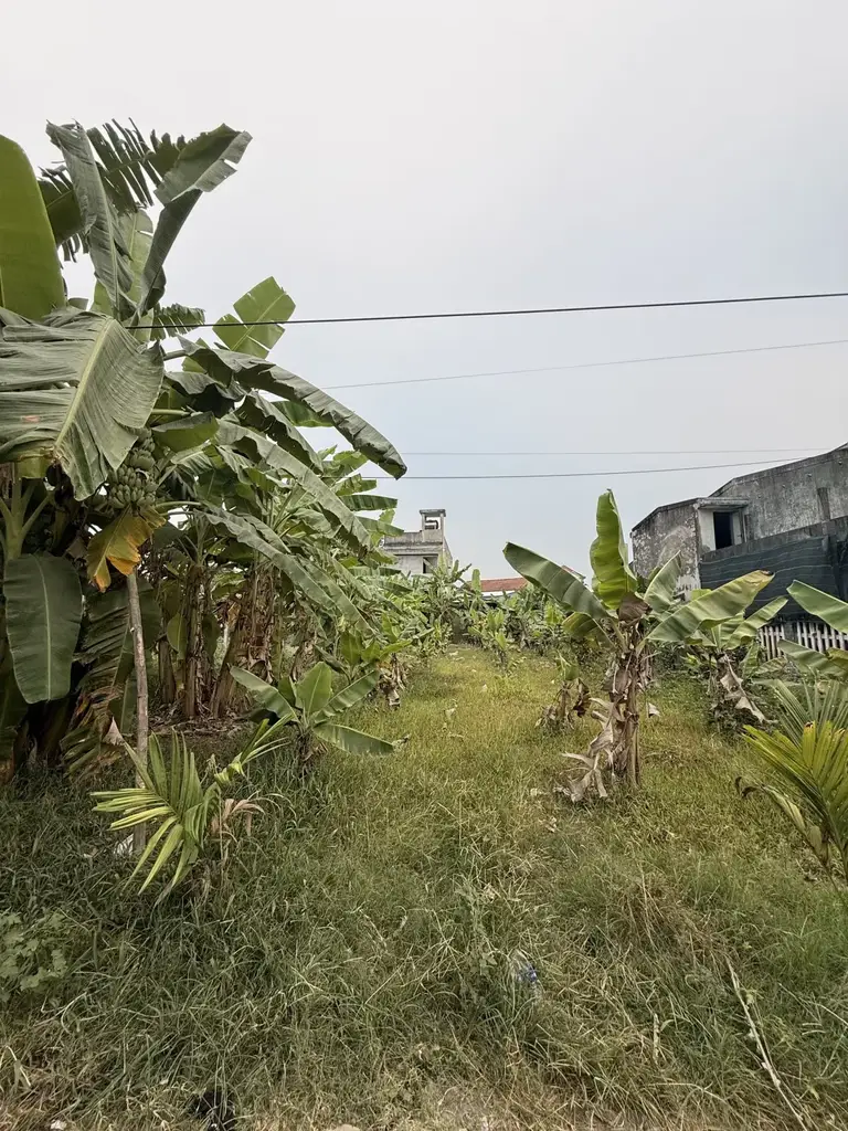 Bán đất Quảng Xương, Hòa Vang – 180 m², 1,38 tỷ – ảnh 4