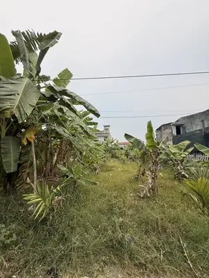 Bán đất Quảng Xương, Hòa Vang – 180 m², 1,38 tỷ – ảnh 4