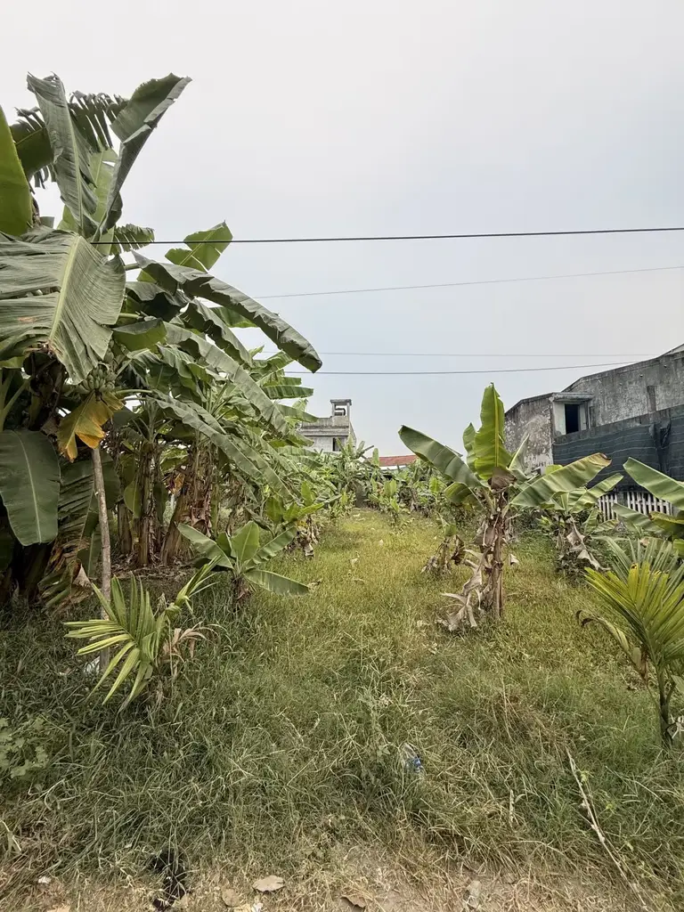 Bán đất Quảng Xương, Hòa Vang – 180 m², 1,38 tỷ – ảnh 5