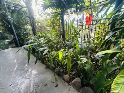 Bán nhà cấp 4 mặt tiền Hòa Tiến, Hòa Vang – 300 m², 4,95 tỷ – ảnh 4