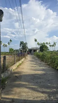Bán đất Thôn Phú Sơn 3, Hòa Vang – 333 m², 3,5 tỷ – ảnh 2