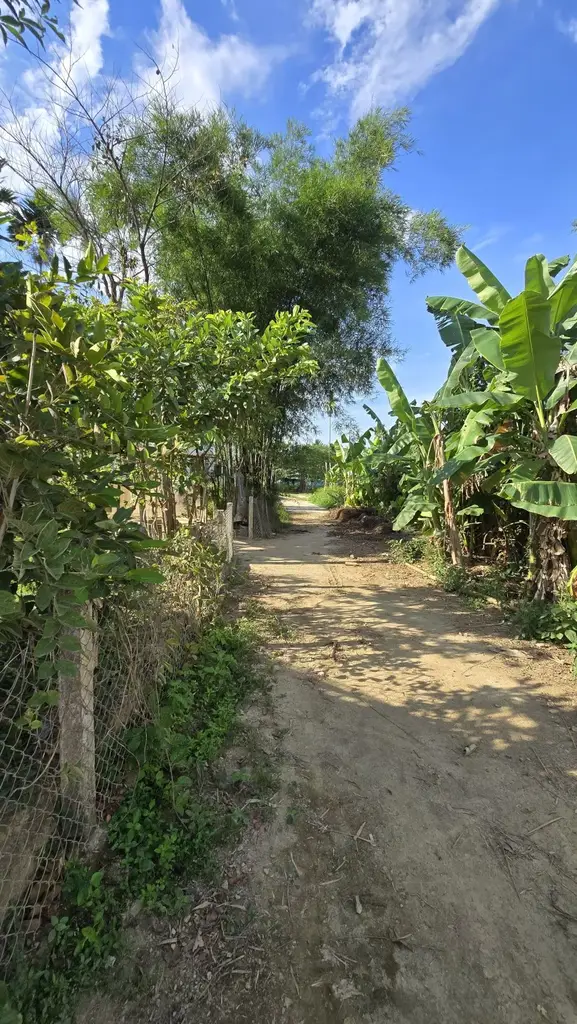 Bán đất Thôn Phú Sơn 3, Hòa Vang – 333 m², 3,5 tỷ – ảnh 3