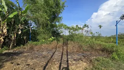 Bán đất Thôn Phú Sơn 3, Hòa Vang – 333 m², 3,5 tỷ – ảnh 8
