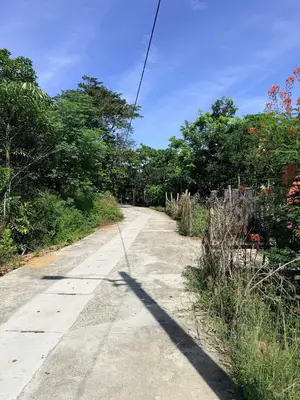 Bán đất mặt tiền Trà Kiểm 11 (Hòa Xuân Mới, Cẩm Lệ – 96 m², 1,6 tỷ