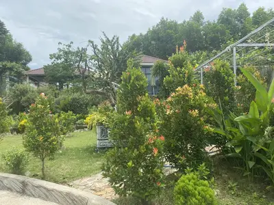 Bán nhà Nông Sơn, Quảng Nam (khu khác) – 2.790 m², 1 tầng, 8 tỷ