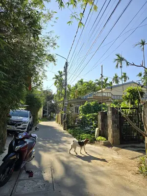 Bán nhà cấp 4 Kiệt Nguyễn Tri Phương, Cẩm Nam, Hội An – 577 m², 8,6 tỷ – ảnh 5