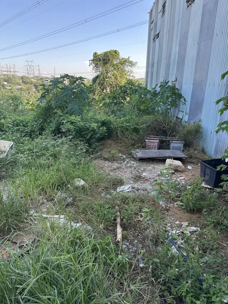 Bán đất Thạch Nham Đông Hòa Nhơn, Hòa Vang – 160 m², 1,75 tỷ – ảnh 4