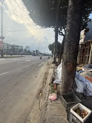 Bán đất mặt tiền Trường Chinh, Cẩm Lệ – 100 m², 4,95 tỷ – ảnh 3