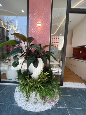 Bán nhà Kiệt Hà Khê, Thanh Khê – 57 m², 2 tầng, 5,4 tỷ – ảnh 13