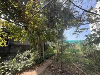 Bán đất mặt tiền Trần Đại Nghĩa, Ngũ Hành Sơn – 479 m², 15,5 tỷ – ảnh 2