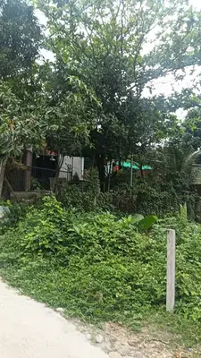 Bán đất Thanh Vinh 4, Liên Chiểu – 87 m², 550 triệu – ảnh 3