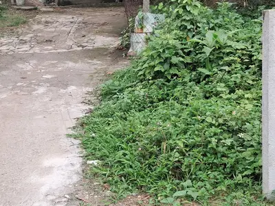 Bán đất Thanh Vinh 4, Liên Chiểu – 87 m², 550 triệu – ảnh 4