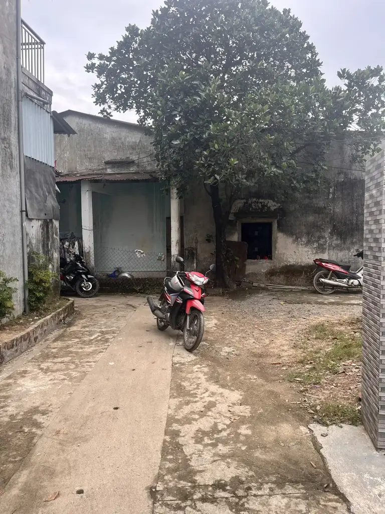 Bán đất Kiệt Nguyễn Văn Cừ, Liên Chiểu – 87 m², 1,93 tỷ – ảnh 5
