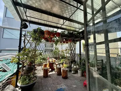 Bán nhà mặt tiền Dương Tụ Quán, Ngũ Hành Sơn – 96 m², 3 tầng, 21,5 tỷ – ảnh 8
