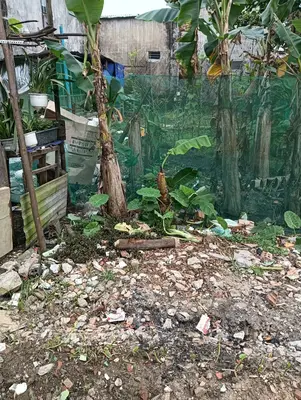 Bán đất Mẹ Suốt, Liên Chiểu – 80 m², 800 triệu