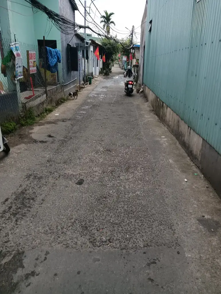 Bán đất Mẹ Suốt, Liên Chiểu – 80 m², 800 triệu – ảnh 3