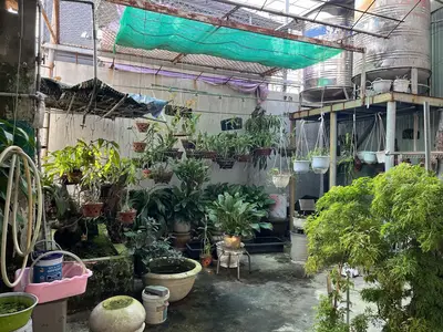 Bán nhà mặt tiền Ông Ích Khiêm, Hải Châu – 96,2 m², 3 tầng, 21 tỷ – ảnh 11