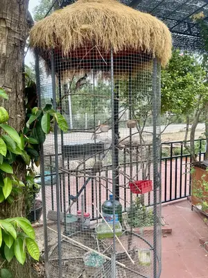 Bán nhà cấp 4 Thôn Phú Thượng, Hòa Khánh (Hòa Sơn, Hòa Vang – 235 m², 2,7 tỷ