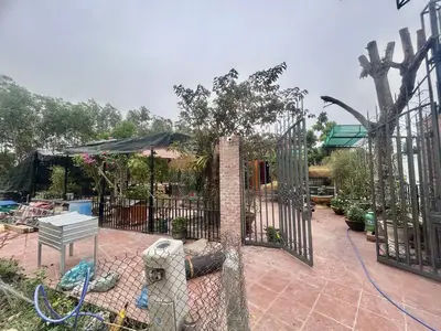 Bán nhà cấp 4 Thôn Phú Thượng, Hòa Khánh (Hòa Sơn, Hòa Vang – 235 m², 2,7 tỷ – ảnh 7