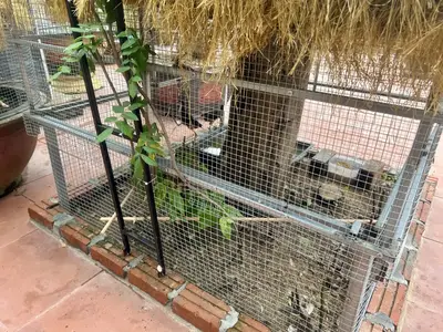Bán nhà cấp 4 Thôn Phú Thượng, Hòa Khánh (Hòa Sơn, Hòa Vang – 235 m², 2,7 tỷ – ảnh 13