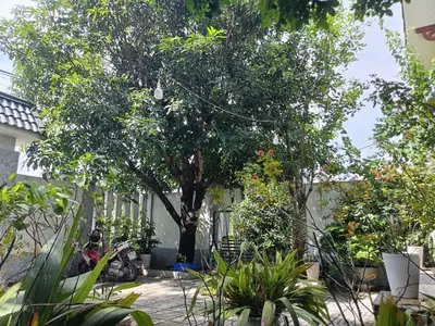 Bán nhà cấp 4 Nam Sơn, Hòa Vang – 200 m², 6,95 tỷ – ảnh 7