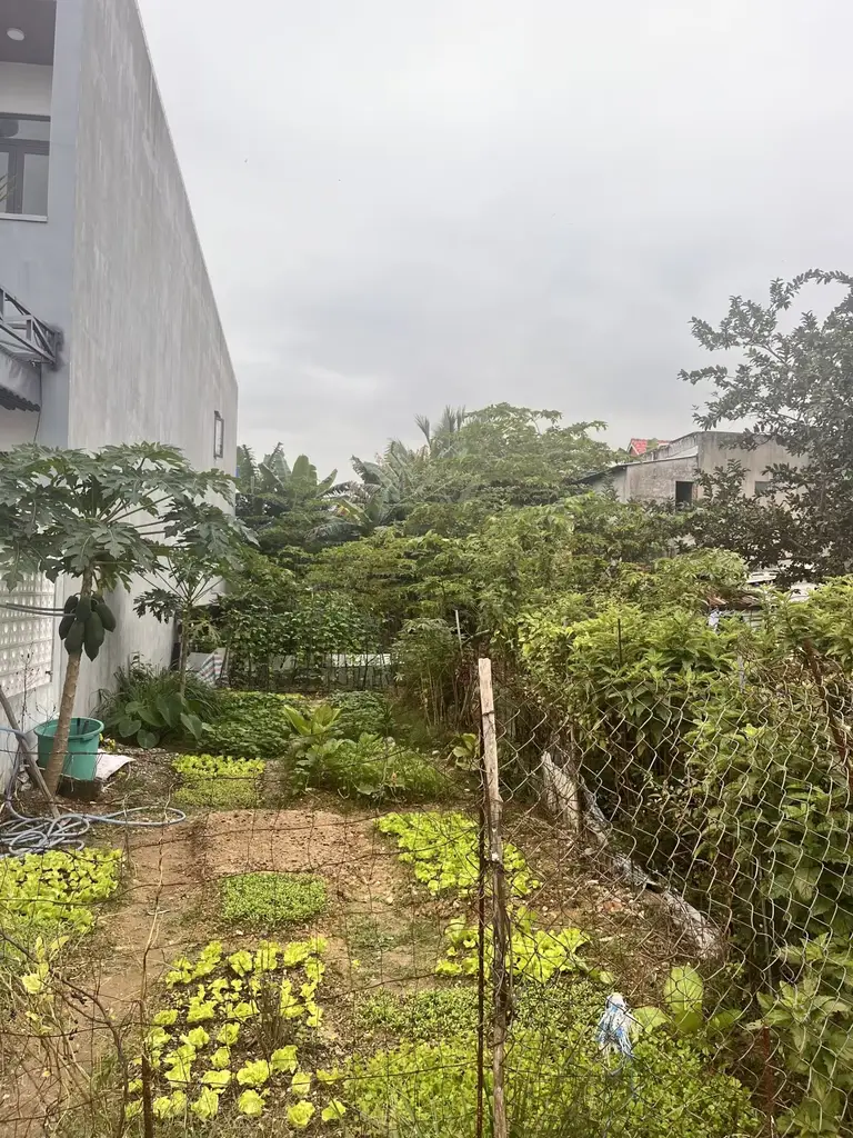 Bán đất mặt tiền Hòa Liên 4, Liên Chiểu – 160 m², 3,4 tỷ – ảnh 4