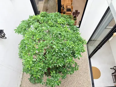 Bán nhà mặt tiền Trần Minh Tông, Liên Chiểu – 100 m², 2 tầng, 10,5 tỷ – ảnh 13