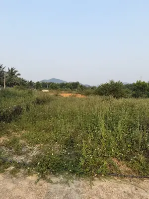 Bán đất Hòa Sơn, Liên Chiểu – 131,6 m², 1,4 tỷ