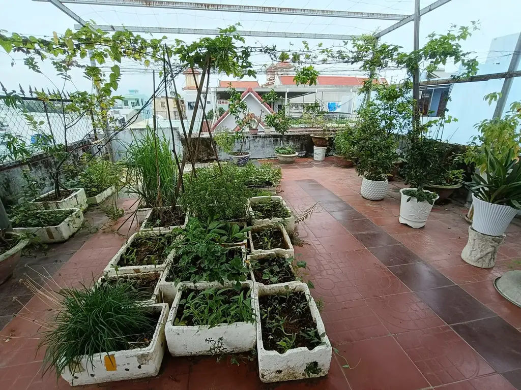 Bán nhà Trường Chinh, Cẩm Lệ – 90 m², 2 tầng, 5,19 tỷ – ảnh 4