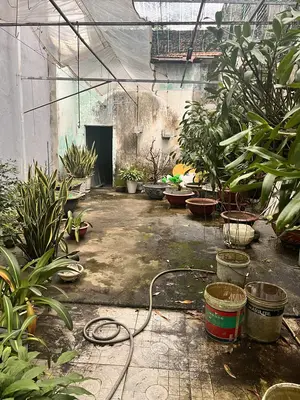 Bán nhà cấp 4 mặt tiền Nguyễn Lương Bằng, Liên Chiểu – 175 m², 10 tỷ – ảnh 2