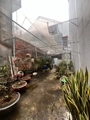 Bán nhà cấp 4 mặt tiền Nguyễn Lương Bằng, Liên Chiểu – 175 m², 10 tỷ – ảnh 3