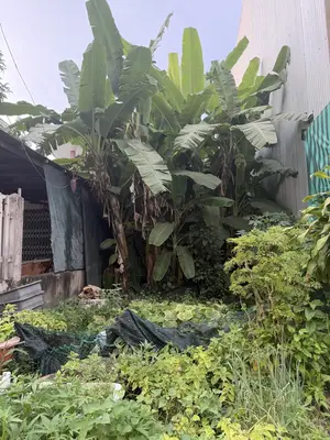 Bán đất mặt tiền Hoàng Ngân, Cẩm Lệ – 100 m², 5,6 tỷ – ảnh 5