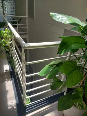 Bán nhà Nguyễn Chí Thanh, Hải Châu – 112,5 m², 6 tầng, 28 tỷ – ảnh 8