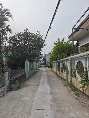 Bán đất Thôn Lệ Sơn Bắc, Cẩm Lệ – 140 m², 3,25 tỷ – ảnh 2