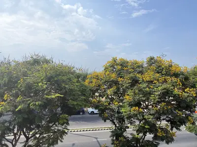 Bán nhà Nguyễn Tất Thành, Thanh Khê – 125 m², 3 tầng, 18,5 tỷ – ảnh 12