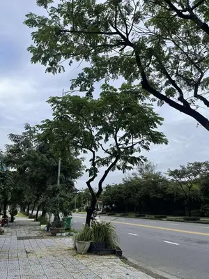 Bán đất mặt tiền Võ Nguyên Giáp, Ngũ Hành Sơn – 188 m², 45 tỷ – ảnh 2