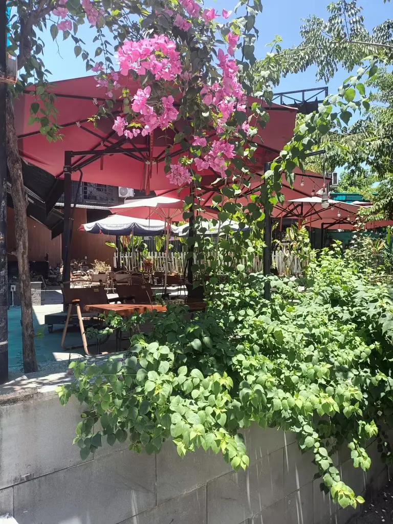 Bán nhà Quảng Xương, Cẩm Lệ – 585 m², 3 tầng, 14,5 tỷ – ảnh 5