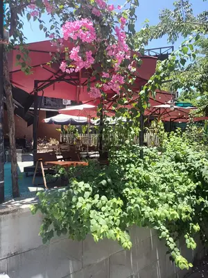 Bán nhà Quảng Xương, Cẩm Lệ – 585 m², 3 tầng, 14,5 tỷ – ảnh 5
