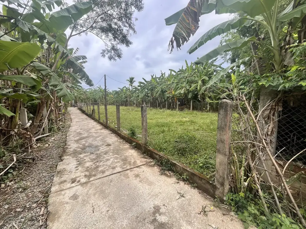 Bán đất Hùng Vương Thị trấn Ái Nghĩa, Quảng Nam (khu khác) – 88 m², 650 triệu – ảnh 4