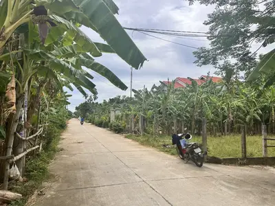Bán đất Hùng Vương Thị trấn Ái Nghĩa, Quảng Nam (khu khác) – 88 m², 650 triệu – ảnh 8