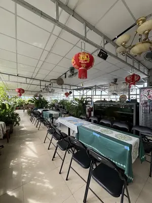 Bán nhà mặt tiền Trần Cao Vân, Thanh Khê – 295 m², 4 tầng, 45 tỷ