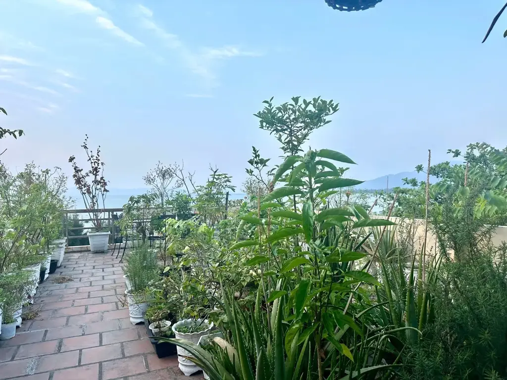 Bán nhà mặt tiền Nguyễn Tất Thành, Thanh Khê – 125 m², 3 tầng, 16,9 tỷ – ảnh 3