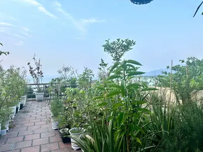 Bán nhà mặt tiền Nguyễn Tất Thành, Thanh Khê – 125 m², 3 tầng, 16,9 tỷ – ảnh 3