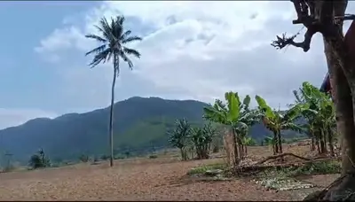 Bán nhà Phò Nam xã Hòa Bắc, Liên Chiểu – 3.655 m², 1 tầng, 5,5 tỷ